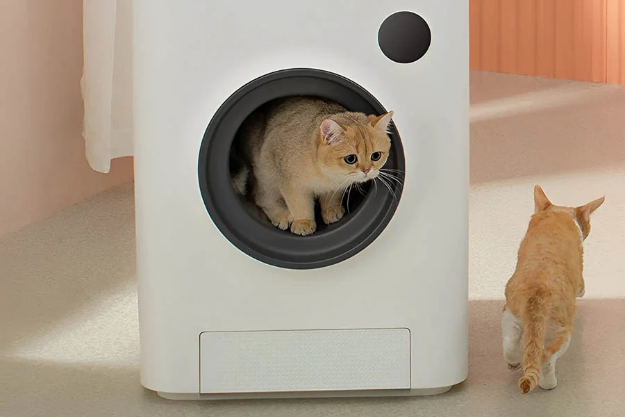 the best cat litter box