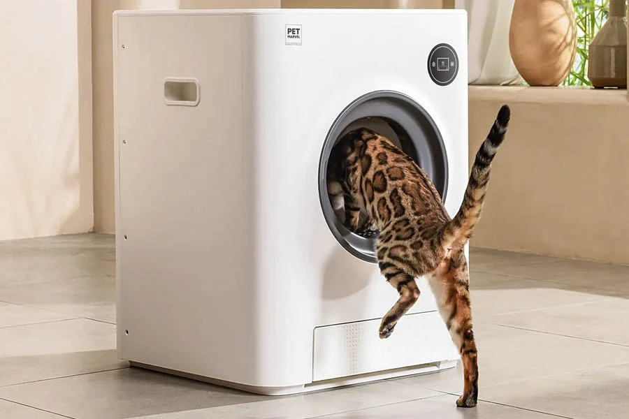 robotic kitty litter box