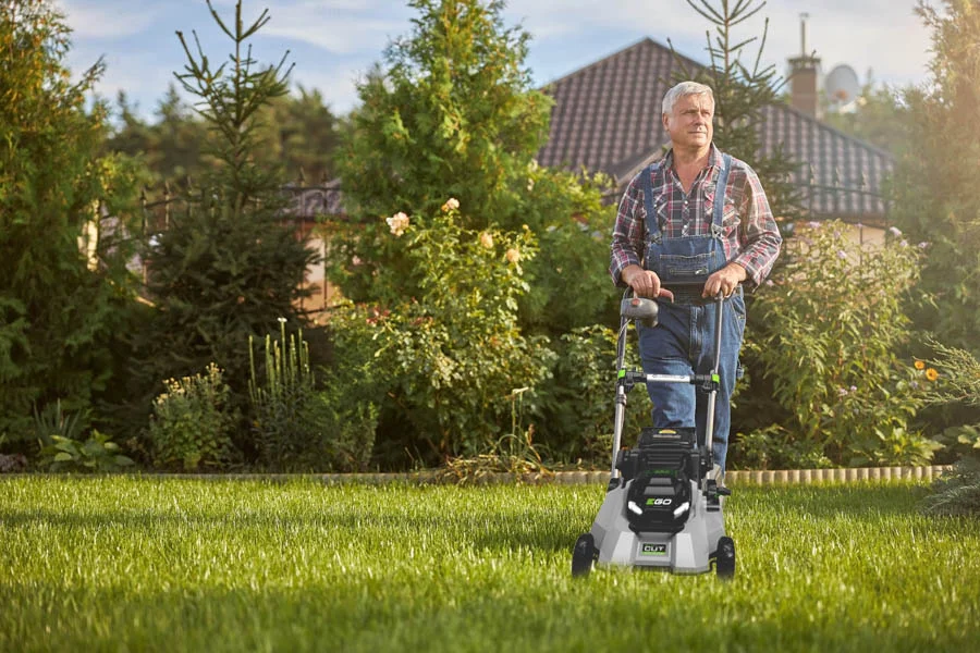 best cordless lawn